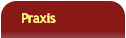 Praxis